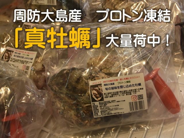 周防大島産プロトン冷凍「真牡蠣」入荷中