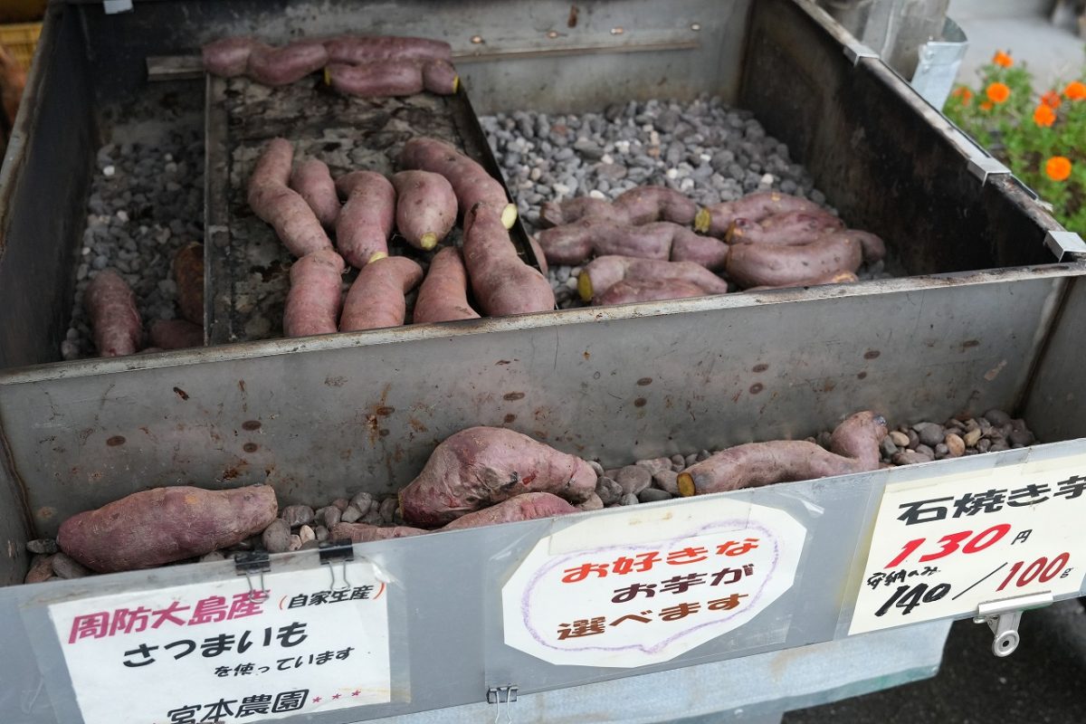 本日より「宮本農園石焼き芋」出店開始！