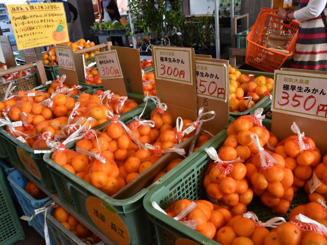 極早生みかん大量入荷中