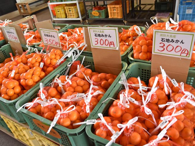 人気の石地みかん大量入荷中