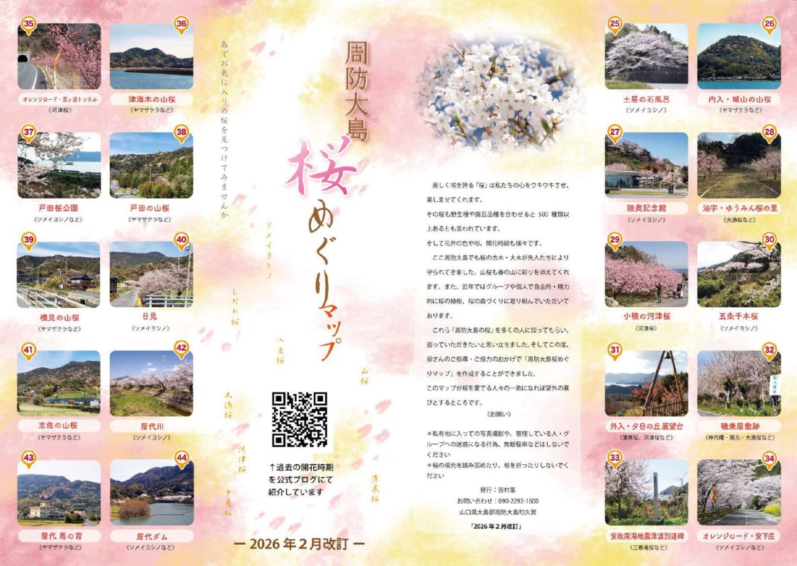 小積（おつみ）の河津桜　※2月23日開花状況